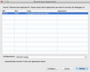 JBoss Developer Studio Remote Debug
